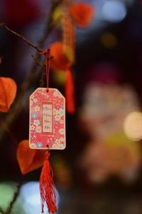 rút tiền Sodo